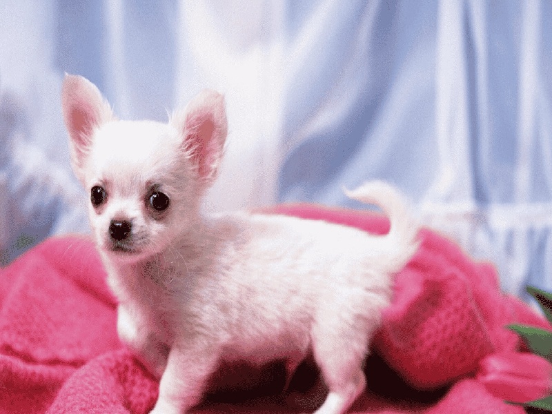 几天的精子试管(嘉兴妇保试管需要)